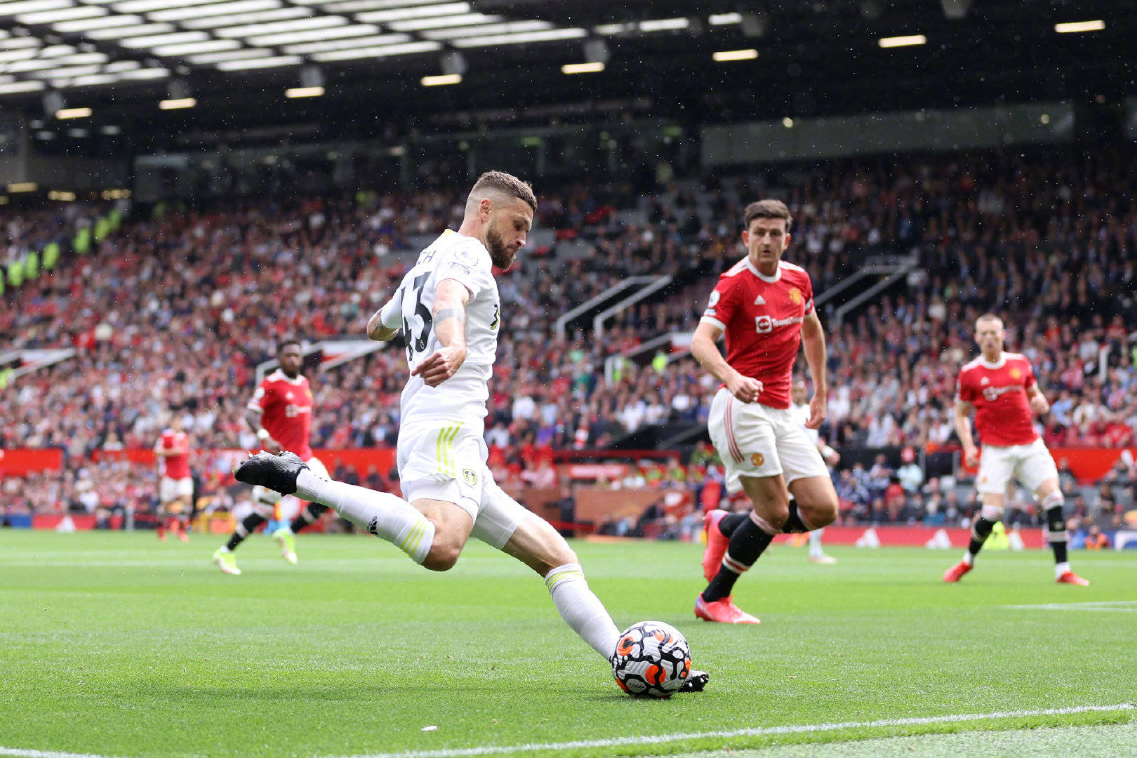 的贡献宛如 的贡献宛如